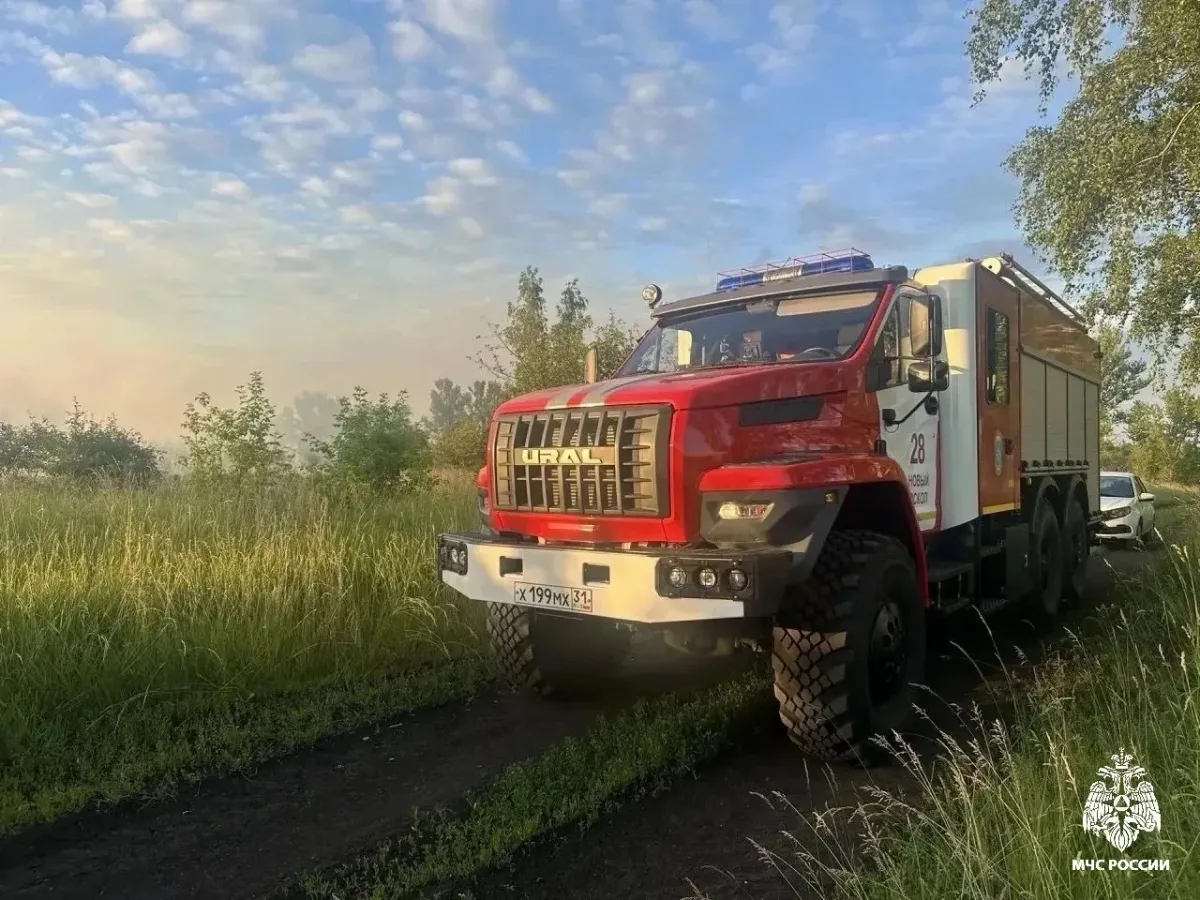 В Белгородской области за неделю произошло 30 пожаров