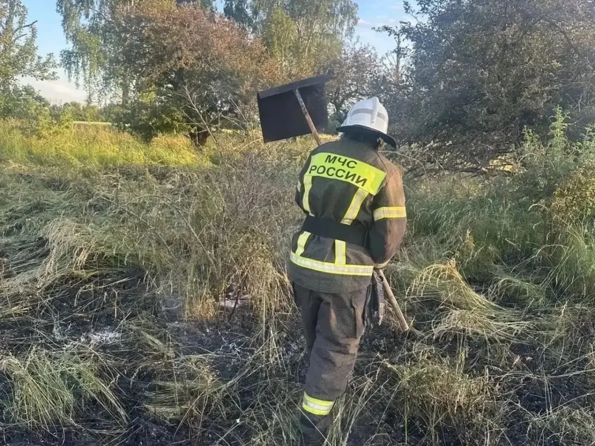 В Белгородской области за неделю произошло 30 пожаров